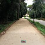 Campllong Laa bruguera via verda SAULO SOLID 04